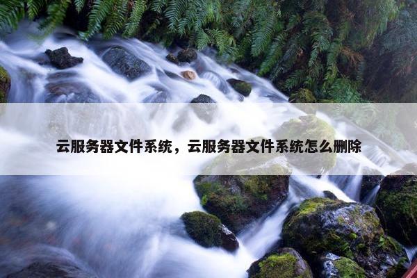 云服务器文件系统，云服务器文件系统怎么删除