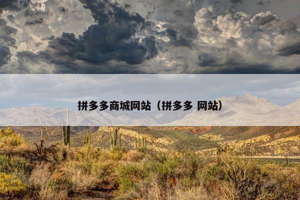 拼多多商城网站（拼多多 网站）
