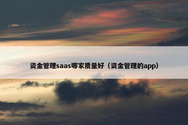 资金管理saas哪家质量好（资金管理的app）