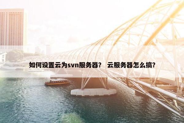 如何设置云为svn服务器？ 云服务器怎么搞？