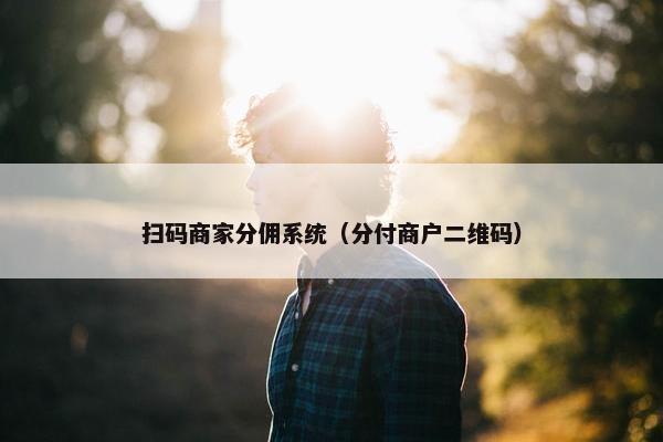 扫码商家分佣系统（分付商户二维码）