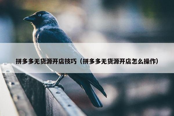 拼多多无货源开店技巧（拼多多无货源开店怎么操作）