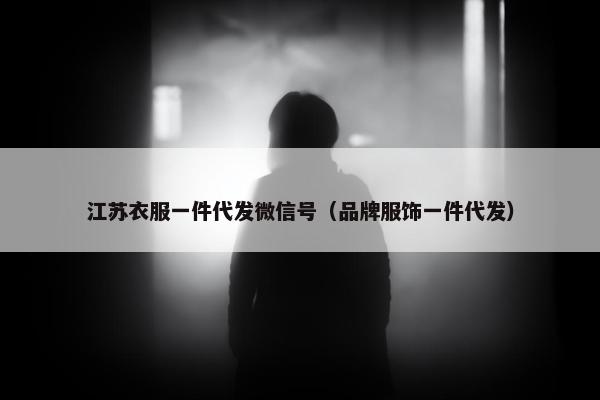 江苏衣服一件代发微信号（品牌服饰一件代发）