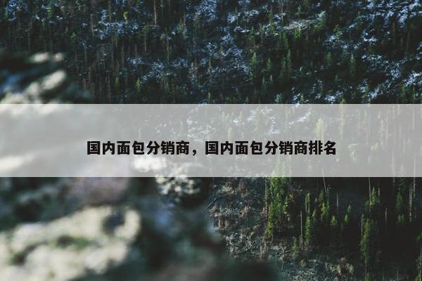 国内面包分销商，国内面包分销商排名