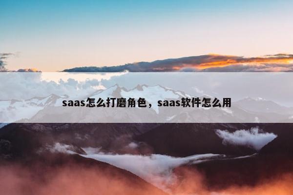 saas怎么打磨角色，saas软件怎么用