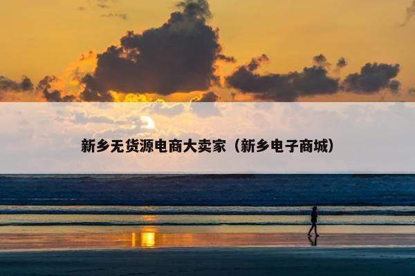 新乡无货源电商大卖家（新乡电子商城）