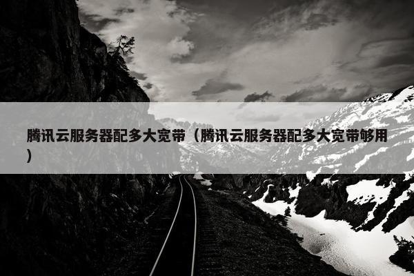 腾讯云服务器配多大宽带（腾讯云服务器配多大宽带够用）