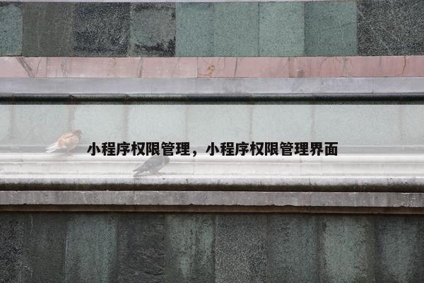小程序权限管理，小程序权限管理界面