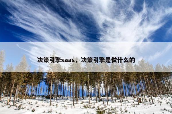 决策引擎saas，决策引擎是做什么的