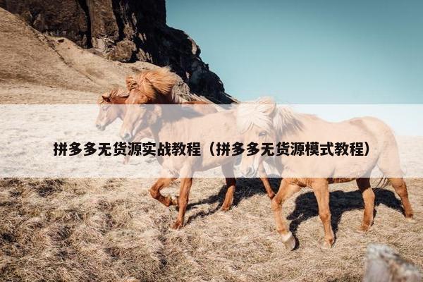 拼多多无货源实战教程（拼多多无货源模式教程）