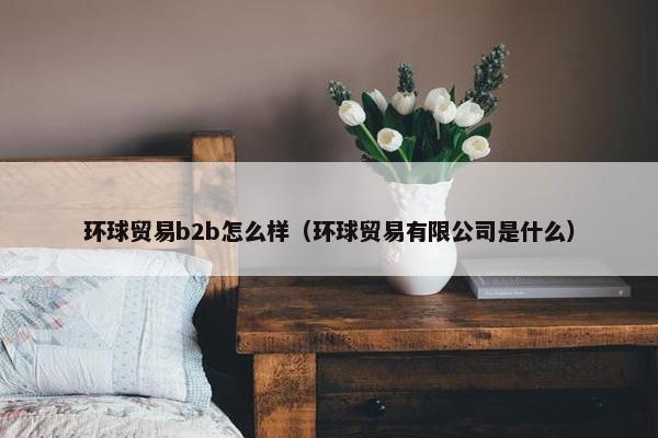 环球贸易b2b怎么样（环球贸易有限公司是什么）