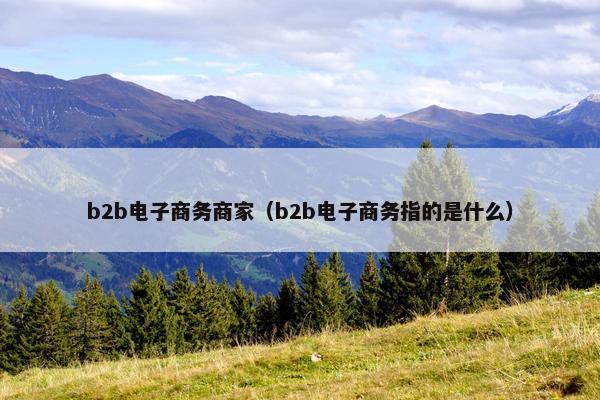 b2b电子商务商家（b2b电子商务指的是什么）
