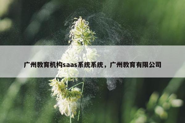 广州教育机构saas系统系统，广州教育有限公司