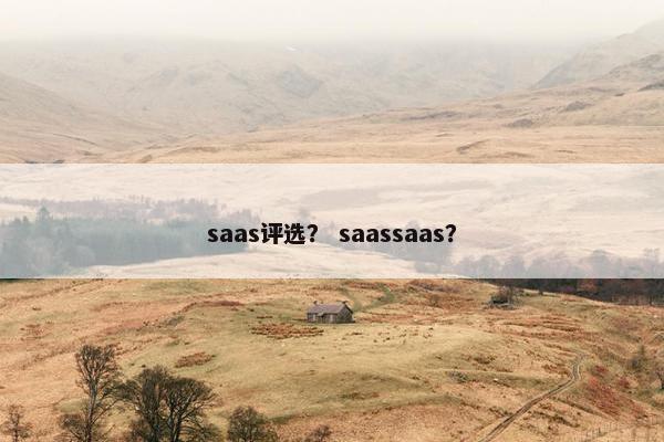 saas评选？ saassaas？