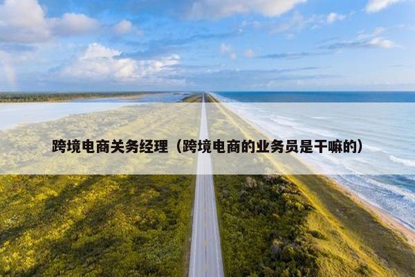 跨境电商关务经理（跨境电商的业务员是干嘛的）