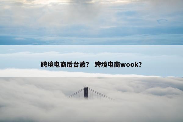 跨境电商后台戳？ 跨境电商wook？