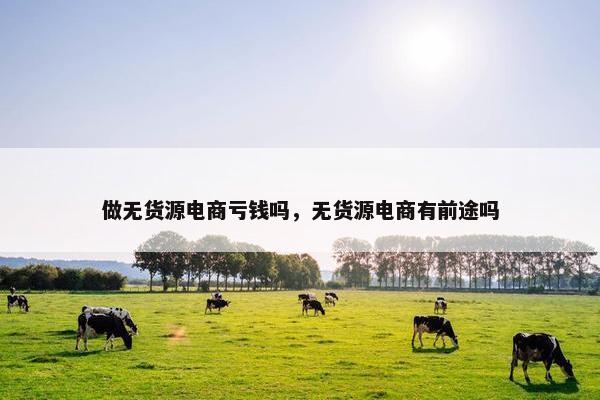 做无货源电商亏钱吗，无货源电商有前途吗