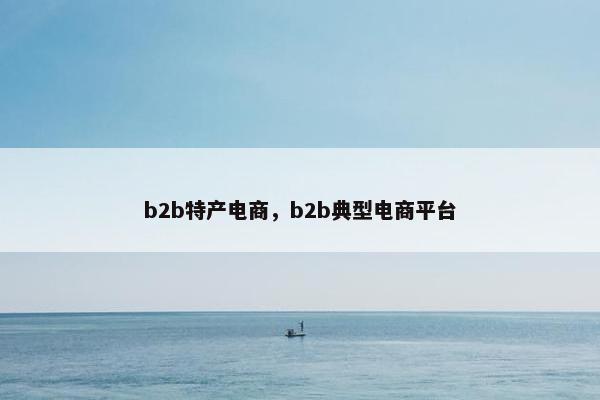 b2b特产电商，b2b典型电商平台