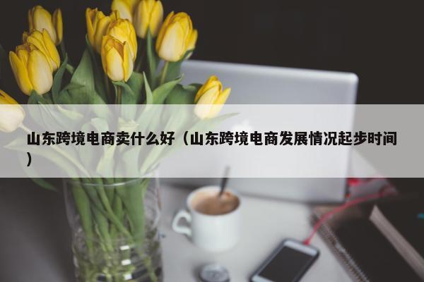 山东跨境电商卖什么好（山东跨境电商发展情况起步时间）