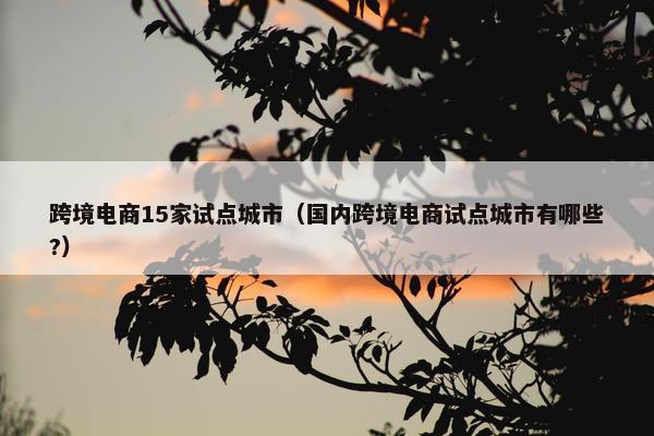 跨境电商15家试点城市（国内跨境电商试点城市有哪些?）