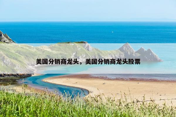 美国分销商龙头，美国分销商龙头股票