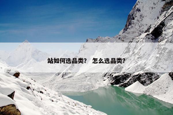站如何选品类？ 怎么选品类？
