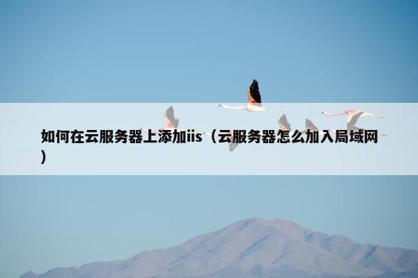 如何在云服务器上添加iis（云服务器怎么加入局域网）