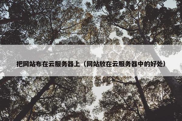 把网站布在云服务器上（网站放在云服务器中的好处）