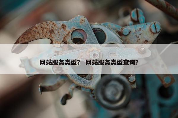 网站服务类型？ 网站服务类型查询？