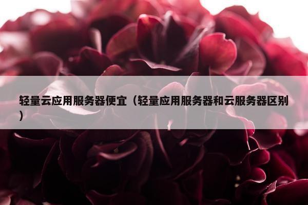 轻量云应用服务器便宜（轻量应用服务器和云服务器区别）