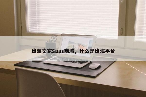 出海卖家Saas商城，什么是出海平台