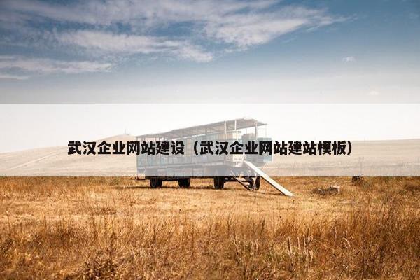武汉企业网站建设（武汉企业网站建站模板）