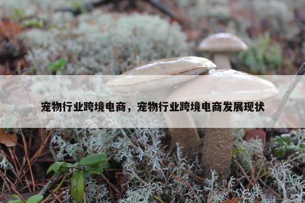 宠物行业跨境电商，宠物行业跨境电商发展现状