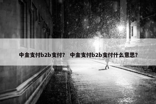 中金支付b2b支付？ 中金支付b2b支付什么意思？