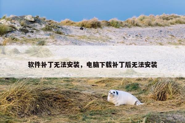 软件补丁无法安装，电脑下载补丁后无法安装