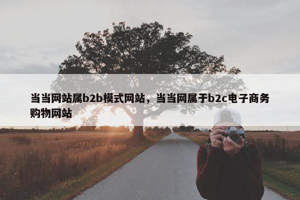 当当网站属b2b模式网站，当当网属于b2c电子商务购物网站