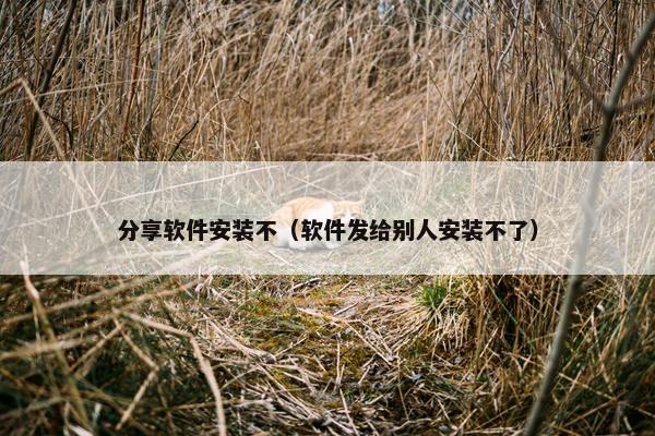 分享软件安装不（软件发给别人安装不了）