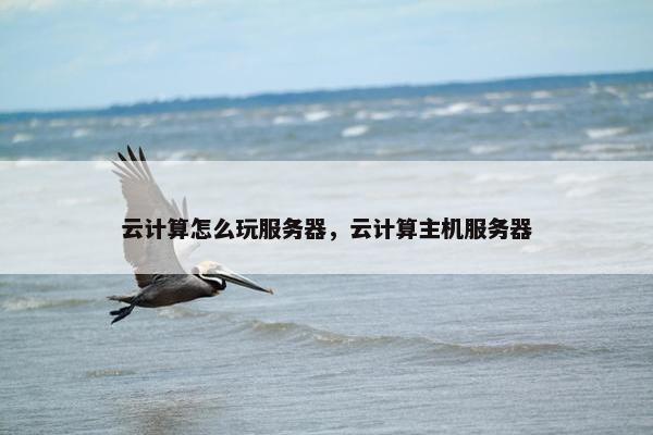 云计算怎么玩服务器，云计算主机服务器