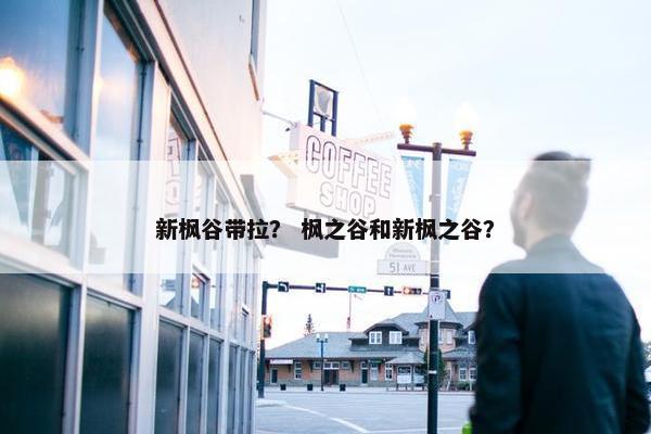 新枫谷带拉？ 枫之谷和新枫之谷？