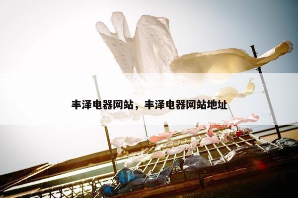 丰泽电器网站，丰泽电器网站地址