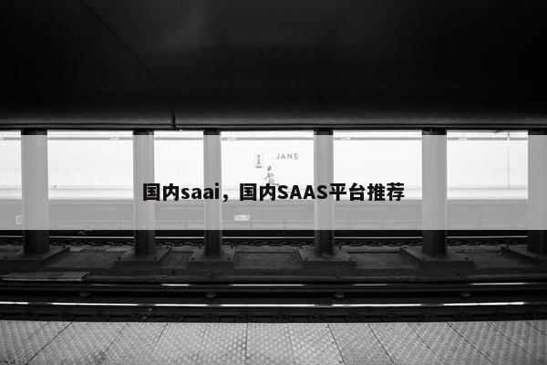 国内saai，国内SAAS平台推荐