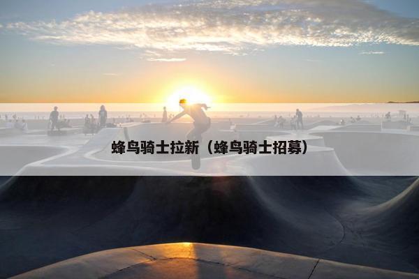 蜂鸟骑士拉新（蜂鸟骑士招募）