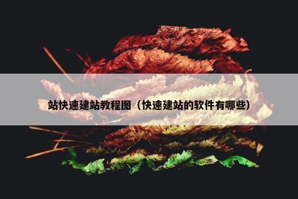 站快速建站教程图（快速建站的软件有哪些）