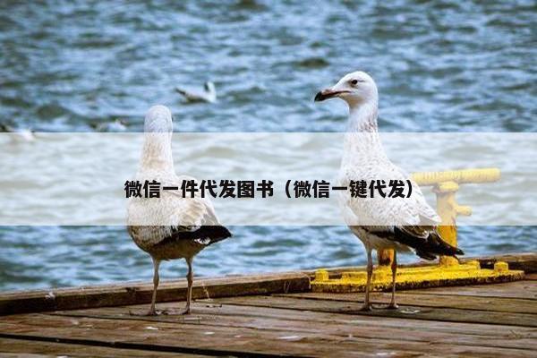 微信一件代发图书（微信一键代发）