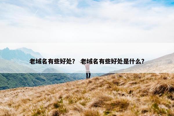 老域名有些好处？ 老域名有些好处是什么？