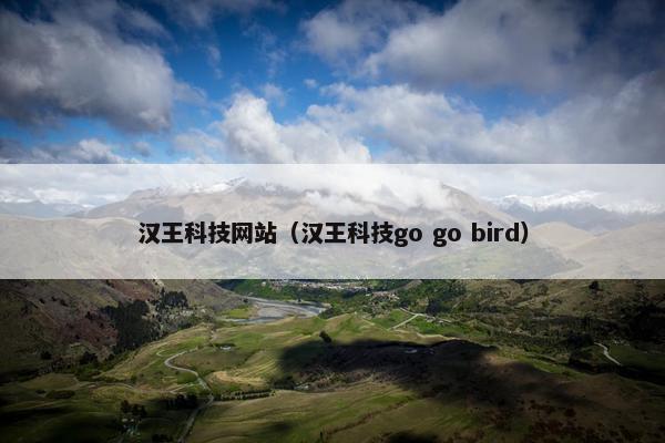 汉王科技网站（汉王科技go go bird）