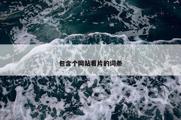 包含个网站看片的词条