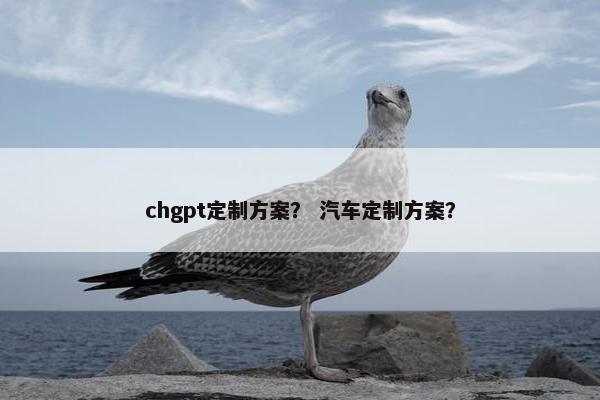 chgpt定制方案？ 汽车定制方案？