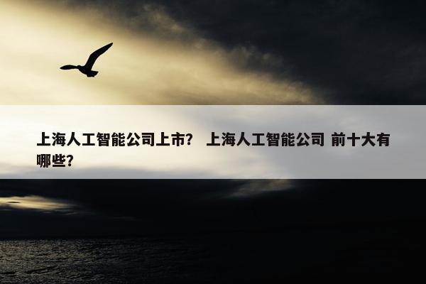 上海人工智能公司上市？ 上海人工智能公司 前十大有哪些？