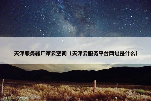 天津服务器厂家云空间（天津云服务平台网址是什么）